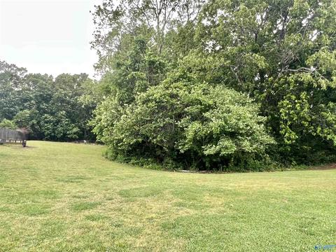 131 County Road 379, Trinity, AL 35673 photo 32