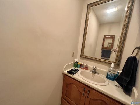 131 County Road 379, Trinity, AL 35673 photo 16