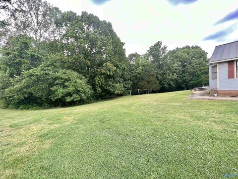 131 County Road 379, Trinity, AL 35673 photo 31
