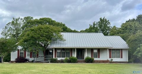 131 County Road 379, Trinity, AL 35673 photo 1