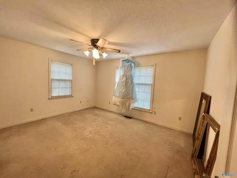 131 County Road 379, Trinity, AL 35673 photo 14