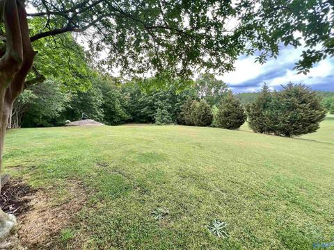 131 County Road 379, Trinity, AL 35673 photo 28