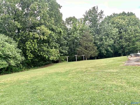 131 County Road 379, Trinity, AL 35673 photo 30