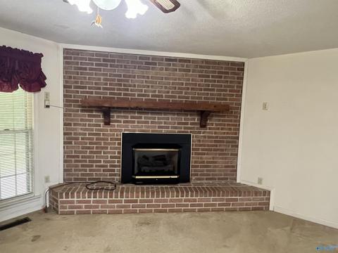 131 County Road 379, Trinity, AL 35673 photo 4