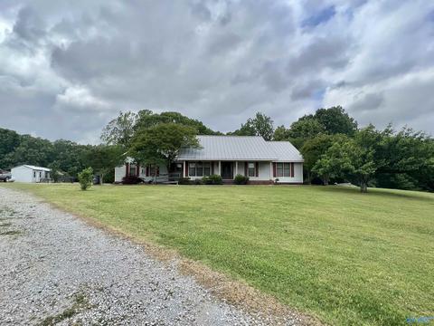 131 County Road 379, Trinity, AL 35673 photo 24
