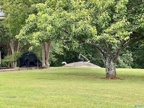 131 County Road 379, Trinity, AL 35673 photo 25
