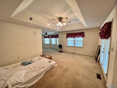 131 County Road 379, Trinity, AL 35673 photo 8