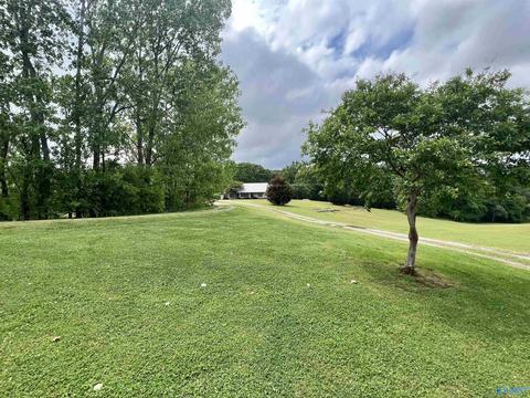 131 County Road 379, Trinity, AL 35673 photo 23