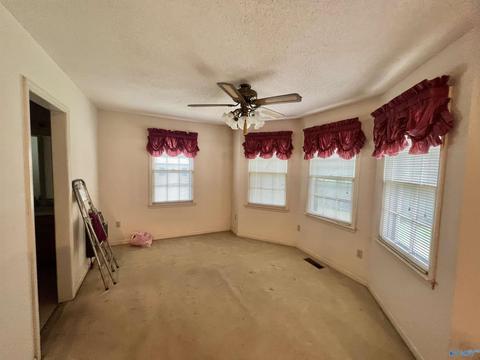 131 County Road 379, Trinity, AL 35673 photo 9