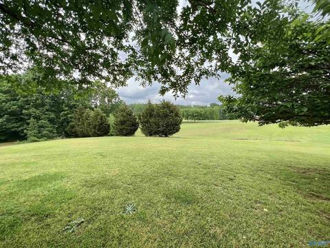 131 County Road 379, Trinity, AL 35673 photo 27