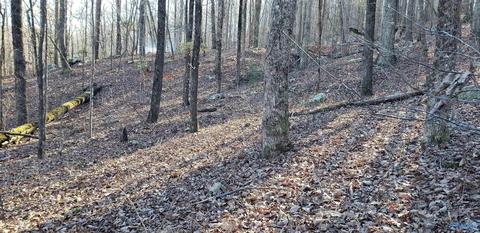 327 Blowing Cave Rd, Gurley, AL 35748 photo 1