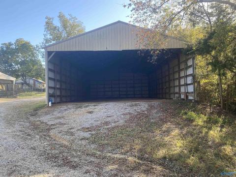 1387 County Road 317, Trinity, AL 35673 photo 19