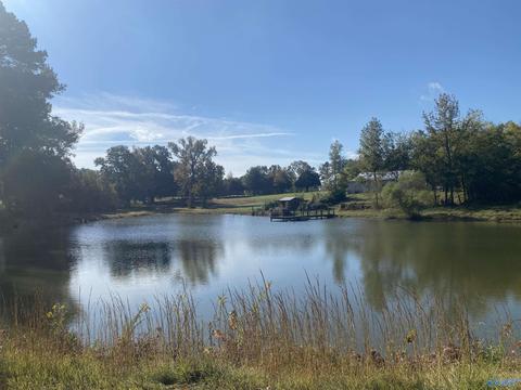 1387 County Road 317, Trinity, AL 35673 photo 4