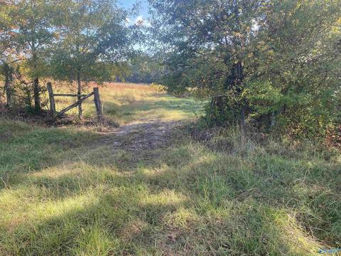 1387 County Road 317, Trinity, AL 35673 photo 15