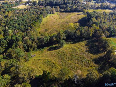 1387 County Road 317, Trinity, AL 35673 photo 11