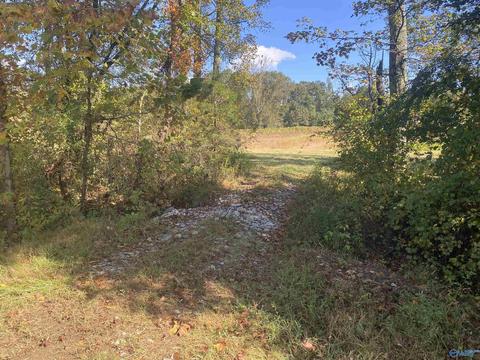 1387 County Road 317, Trinity, AL 35673 photo 14