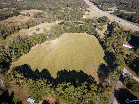 1387 County Road 317, Trinity, AL 35673 photo 3