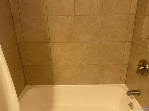 1387 County Road 317, Trinity, AL 35673 photo 40