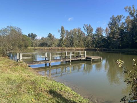 1387 County Road 317, Trinity, AL 35673 photo 29