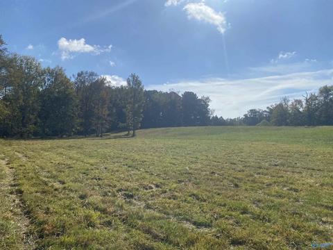 1387 County Road 317, Trinity, AL 35673 photo 26