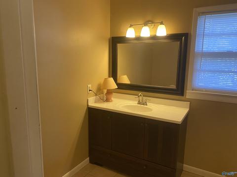 1387 County Road 317, Trinity, AL 35673 photo 39