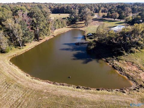 1387 County Road 317, Trinity, AL 35673 photo 6