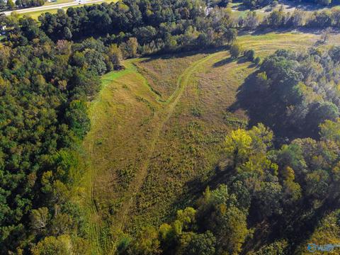 1387 County Road 317, Trinity, AL 35673 photo 12