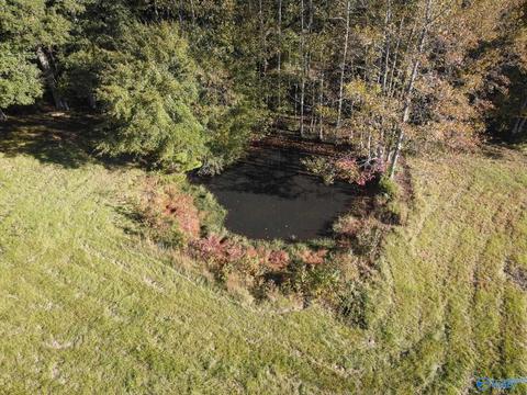 1387 County Road 317, Trinity, AL 35673 photo 13