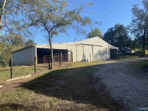1387 County Road 317, Trinity, AL 35673 photo 20
