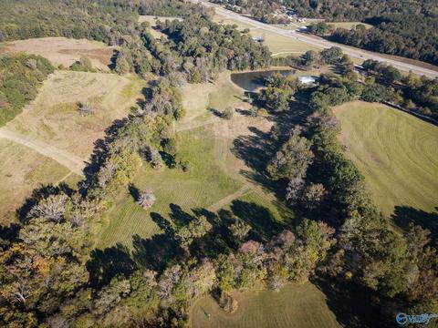 1387 County Road 317, Trinity, AL 35673 photo 9