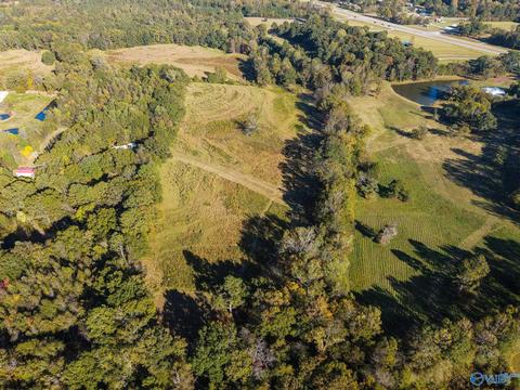1387 County Road 317, Trinity, AL 35673 photo 8
