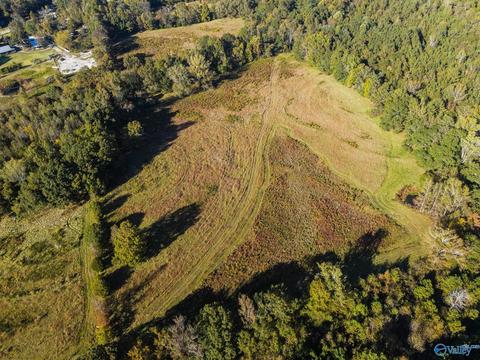1387 County Road 317, Trinity, AL 35673 photo 10