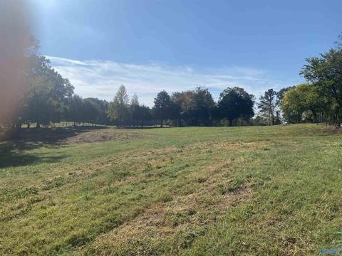 1387 County Road 317, Trinity, AL 35673 photo 28