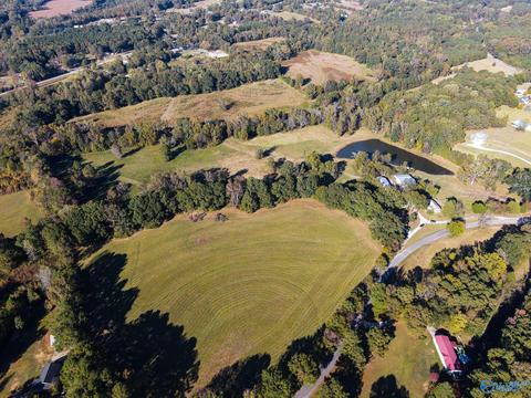 1387 County Road 317, Trinity, AL 35673 photo 1