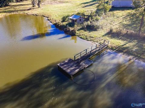 1387 County Road 317, Trinity, AL 35673 photo 7