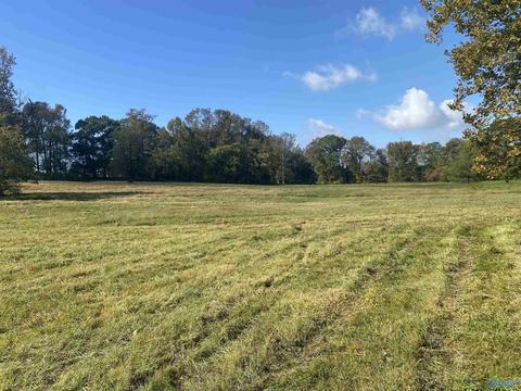 1387 County Road 317, Trinity, AL 35673 photo 24