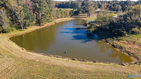 1387 County Road 317, Trinity, AL 35673 photo 5