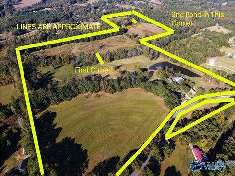 1387 County Road 317, Trinity, AL 35673 photo 2