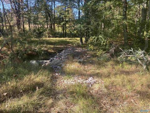 1387 County Road 317, Trinity, AL 35673 photo 16