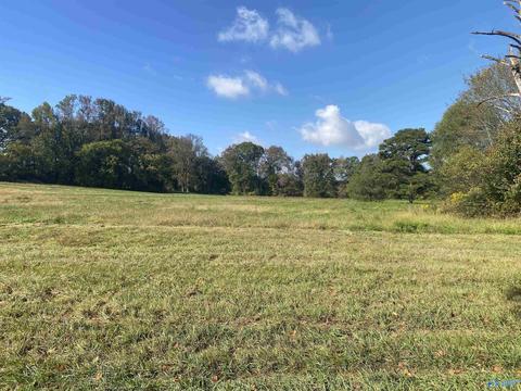 1387 County Road 317, Trinity, AL 35673 photo 27
