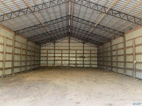 1387 County Road 317, Trinity, AL 35673 photo 18