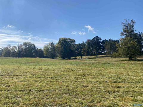 1387 County Road 317, Trinity, AL 35673 photo 25