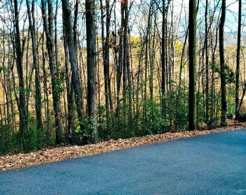1808 Brown St, Guntersville, AL 35976