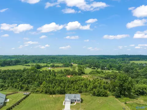 60 Tisha Dr, Grant, AL 35747 photo 30
