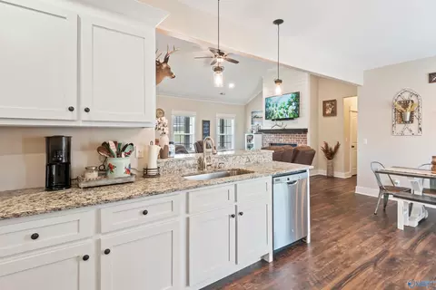 60 Tisha Dr, Grant, AL 35747 photo 14