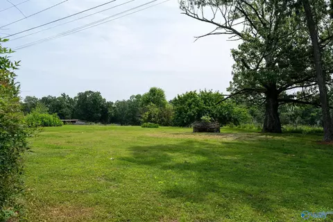 133 Nelson Rd, Grant, AL 35747 photo 11