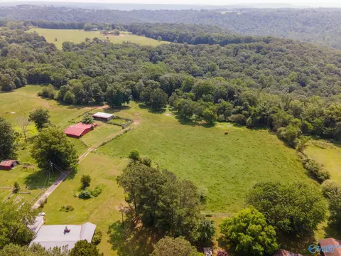 133 Nelson Rd, Grant, AL 35747 photo 2