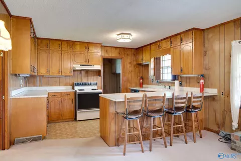 133 Nelson Rd, Grant, AL 35747 photo 18
