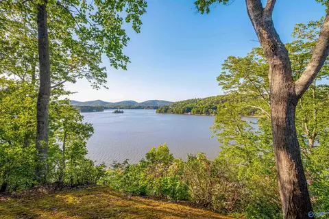1996 Mohawk Cliff Rd, Ohatchee, AL 36271 photo 11