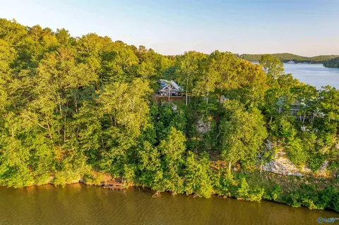 1996 Mohawk Cliff Rd, Ohatchee, AL 36271 photo 8